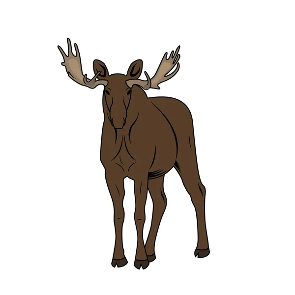 Vectorillustratie van een eland — Stockvector