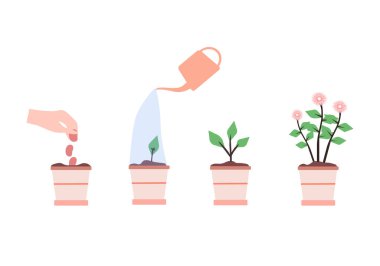 Bitki büyüme aşamaları beyaz arka planda, vektör çizelgeleri