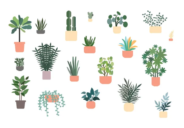 Set Van Verschillende Planten Potten Een Vectorgrafiek — Stockvector