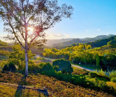 Bento Goncalf 'daki üzüm bağları vadisinde gün batımı