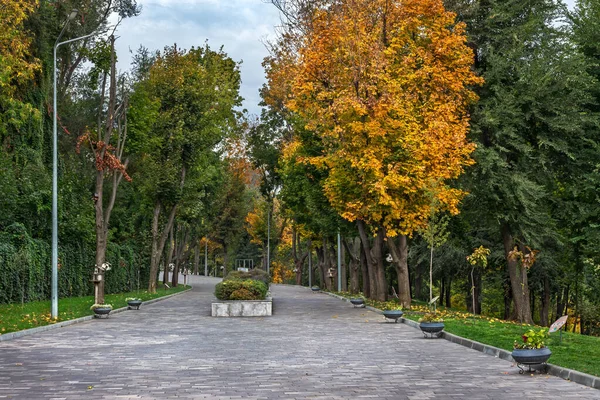 Park Green Chlap Podzimní Čas Město Dněpropro Dněpropetrovsk Ukrajina — Stock fotografie