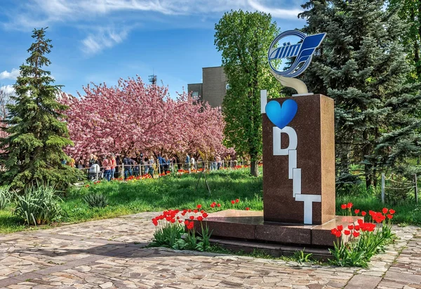 学者V Lazaryanにちなんで名付けられたDnipro国立鉄道輸送大学の桜の花 Dnipro市 ウクライナ — ストック写真