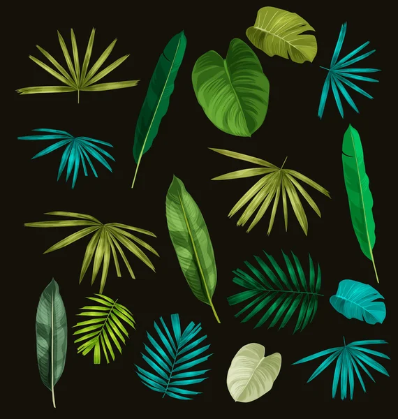 Tropische bladverzameling — Stockvector
