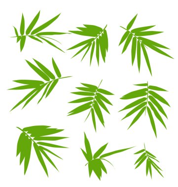 Bambu yaprak seti