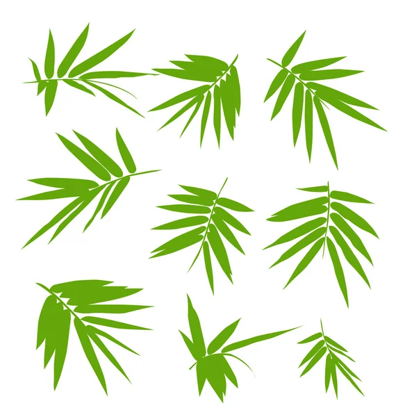 Bambu yaprak seti