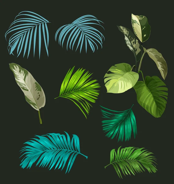 Botanisches Blatt Set — Stockvektor