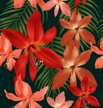 Amaryllis 'in kusursuz deseni