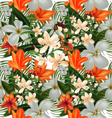 Amaryllis 'in kusursuz deseni