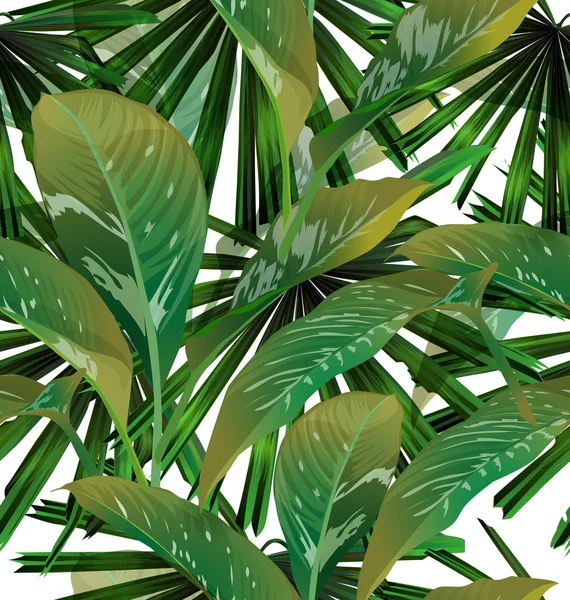 Fondo de la hoja tropical — Vector de stock