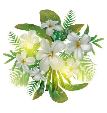 Plumeria çiçek demeti