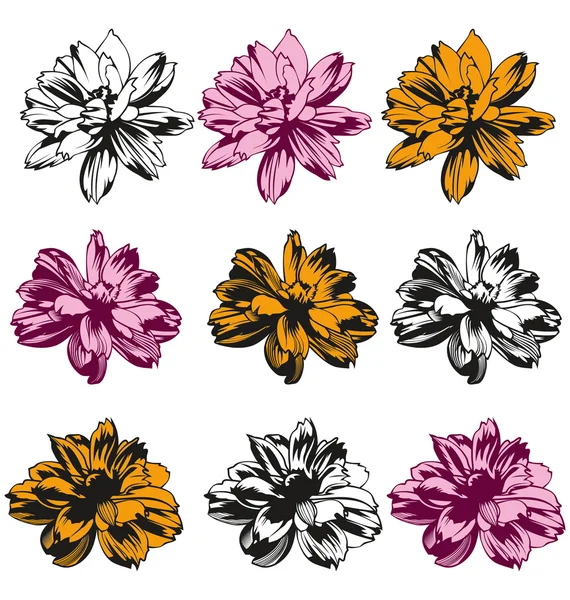 Floral — Stock Vector