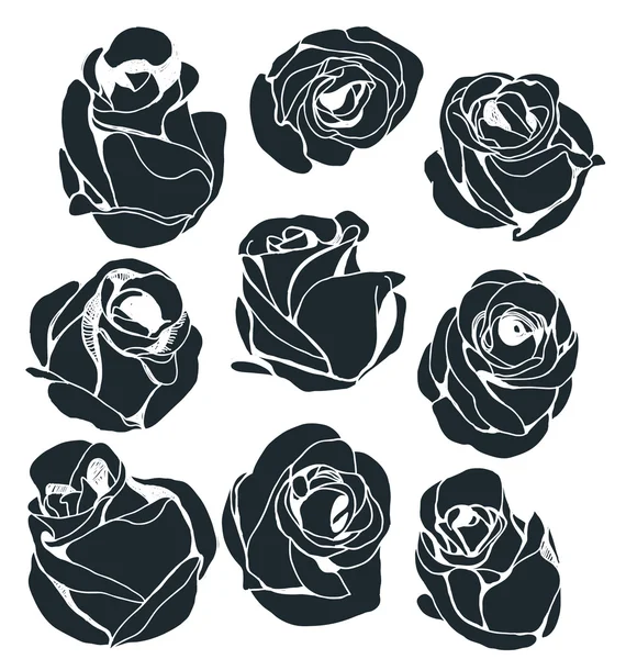 玫瑰集 — 图库矢量图片