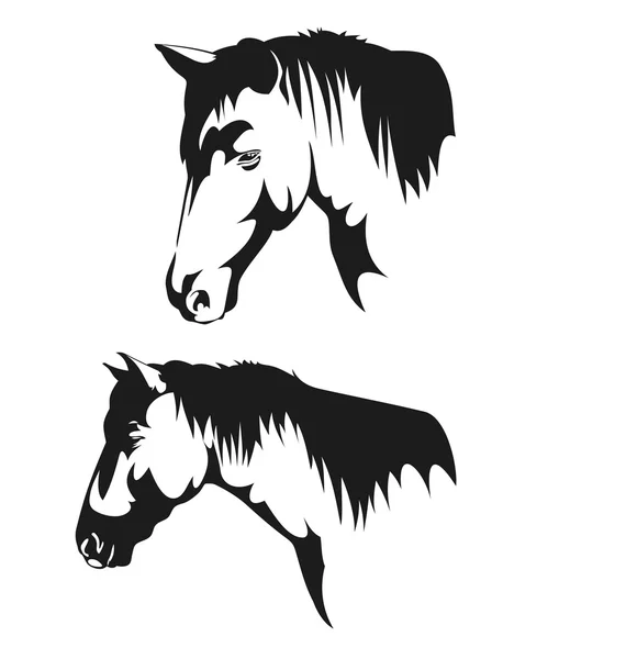 Horse — Stock Vector