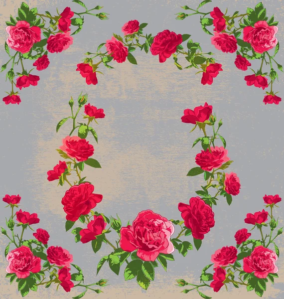 Roses — Stock Vector