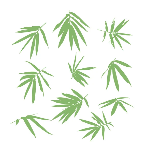 Hoja de bambú — Vector de stock