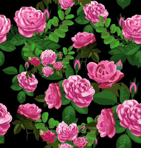 Роза — стоковый вектор