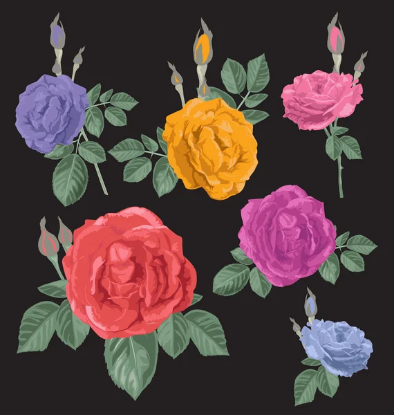 Rose bouquet ensemble — Image vectorielle