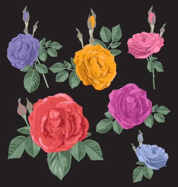 Rose bos set — Stockvector