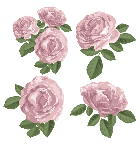 Rose bunch set — Stock Vector