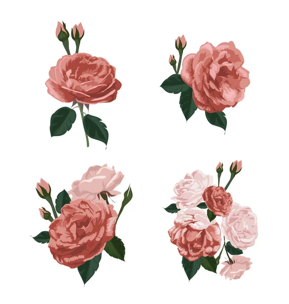 Rose bunch set — Stock Vector