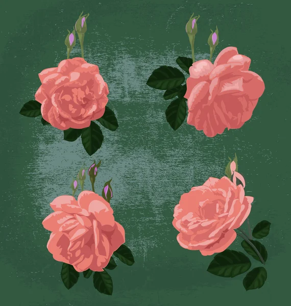 Rose bouquet ensemble — Image vectorielle