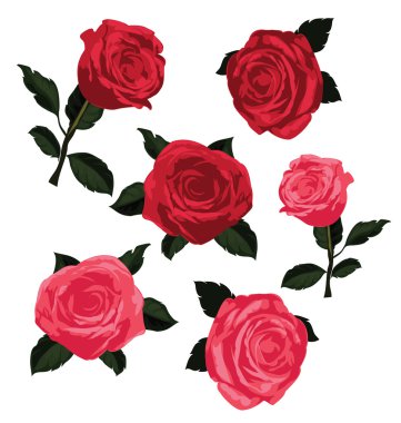 Gül çiçek seamless modeli