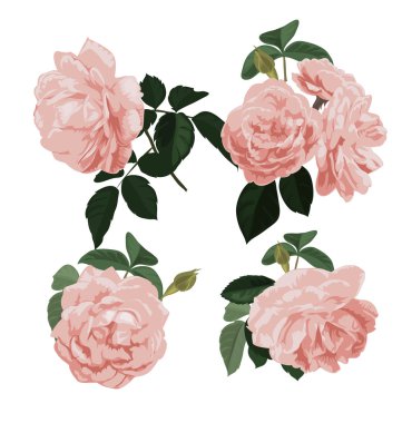 Gül çiçek seamless modeli