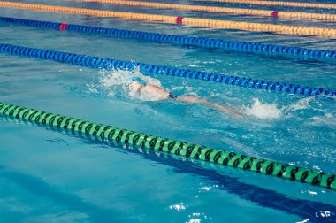 perm bölgesi Yüzme Şampiyonası