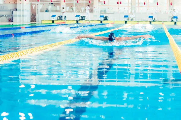 Perm regio Kampioenschap zwemmen — Stockfoto