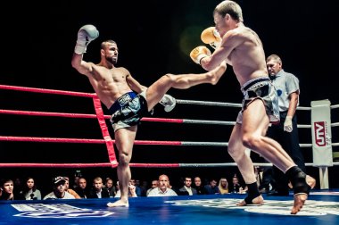 Europe kick-boks Şampiyonluk kemeri için mücadele