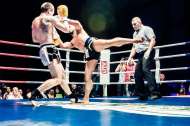 Europe kick-boks Şampiyonluk kemeri için mücadele