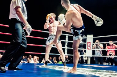Europe kick-boks Şampiyonluk kemeri için mücadele