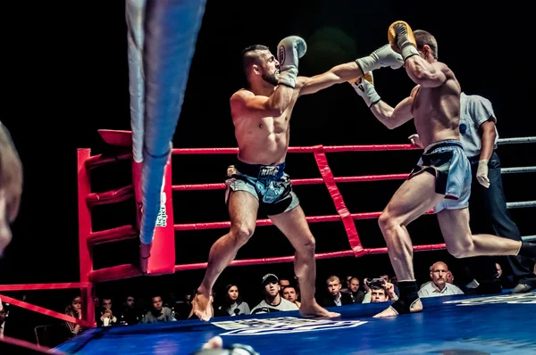 Fight for the championship belt of Europe kick-boxing — Stock Photo, Image