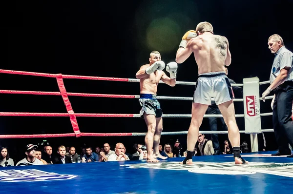 Walka o pas Mistrzostwa Europy kick-boxing — Zdjęcie stockowe