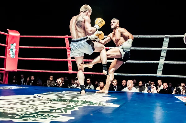 Fight for the championship belt of Europe kick-boxing — Stock Photo, Image