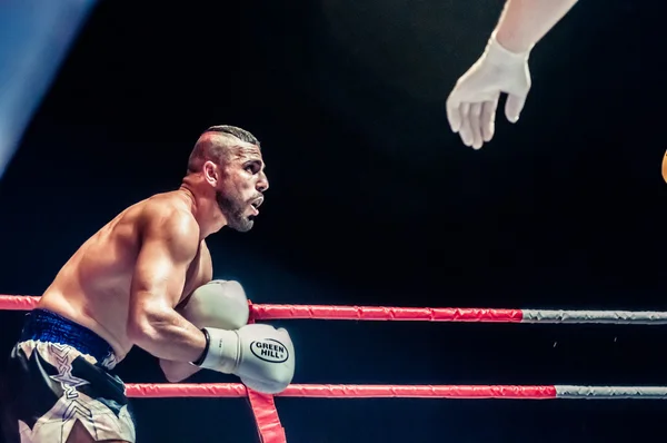 Fight for the championship belt of Europe kick-boxing — Stock Photo, Image