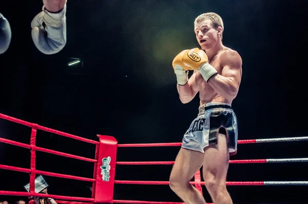 Lucha por el cinturón del campeonato de Europa kick-boxing Imagen de stock