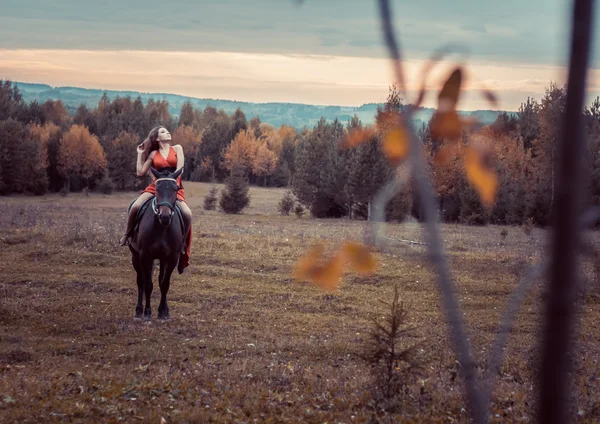 The girl on the horse — Stock Photo, Image