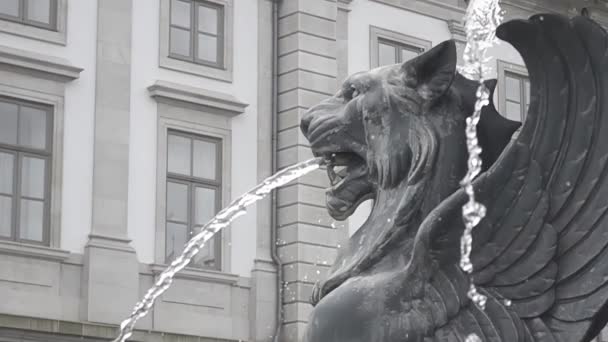 Brunnen Form Eines Löwen Der Wasser Wirft Steinbrunnen Zeitlupe — Stockvideo