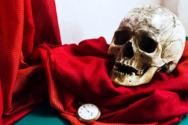 Kafatası vanitas tarzı ile natürmort