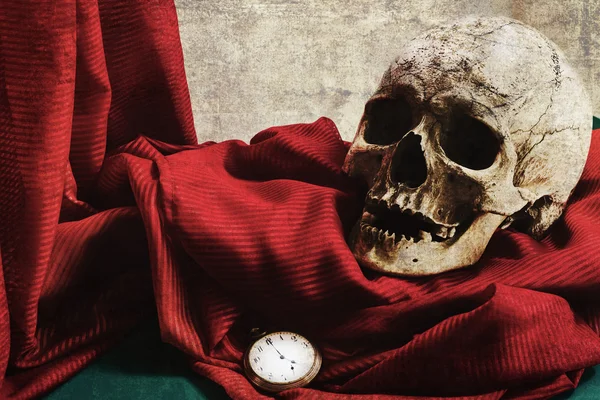 Kafatası vanitas tarzı ile natürmort