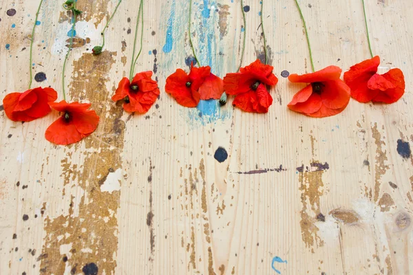 eski bir ahşap masada haşhaş ile yaratıcı sıradışı natürmort.