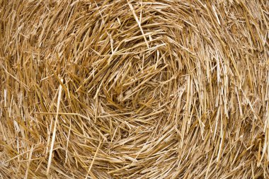 bir saman yığını.