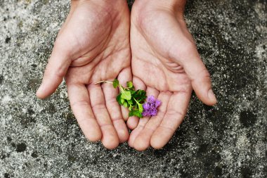 Human hands and plants. Caring for the environment, ecology and nature. clipart