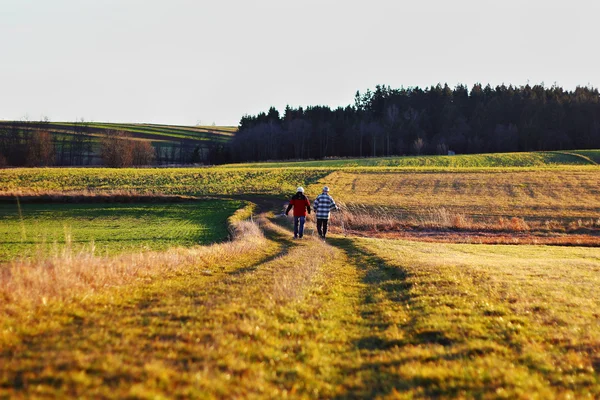 İki yaşlı adam günbatımında bir alan bir ülkede yol boyunca yürümek. Yaşlı çift dahil hiking