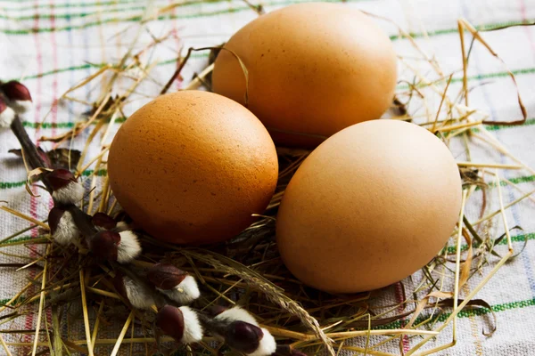 Paskalya natürmort. Paskalya yumurtaları ve yuvaya Kukum dal.