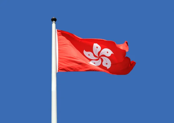 Hong Kong Flag — Stock Photo, Image