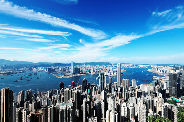 Гонконгская Виктория
