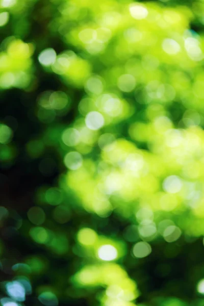bokeh arka plan