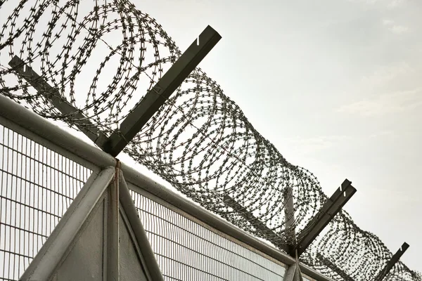 Wire fence — Stock Photo, Image